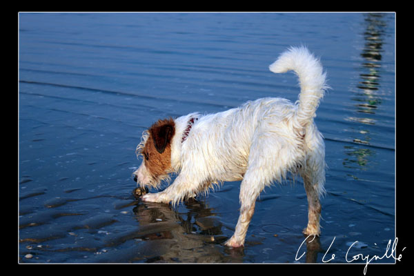 Fly à la plage